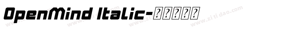 OpenMind Italic字体转换